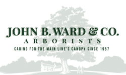 John B Ward & Co